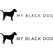 MY BLACK DOG